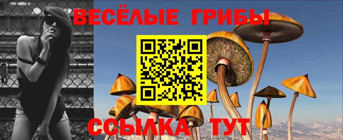 Ахтубинск  Галлюциногенные грибы Cubensis  где купить   Вход с VPN 